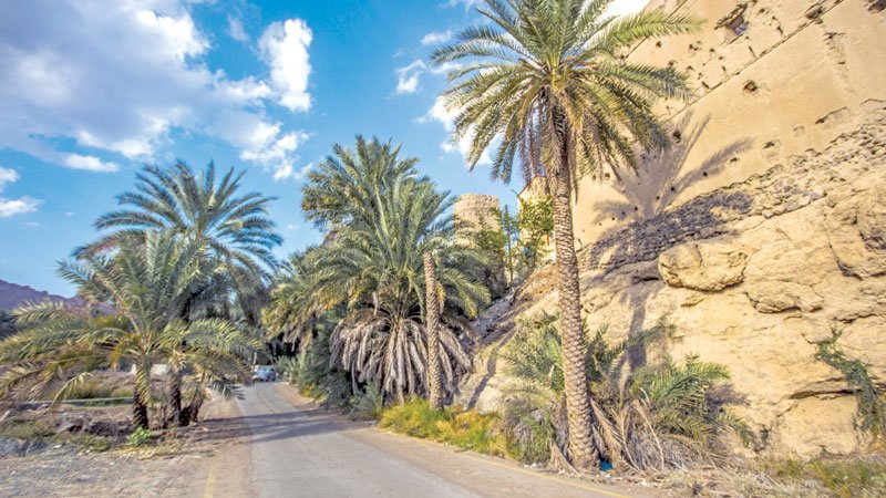 دماء والطائيين